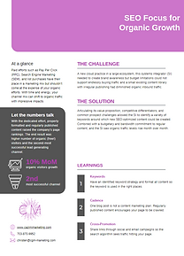 SEO Focus for Organic Growth case study